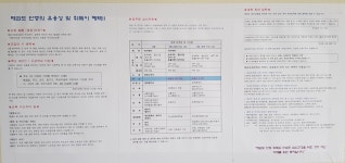수자인농소태권도