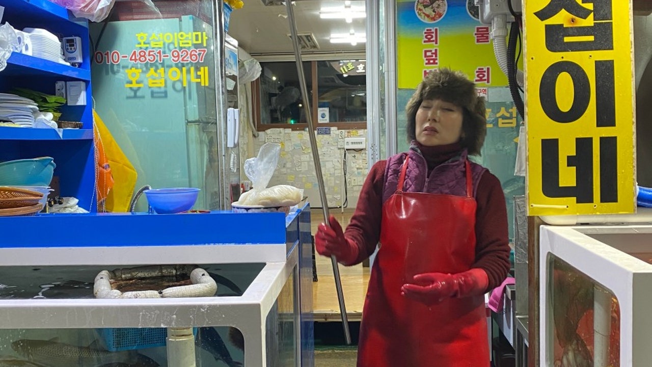 설악항 호섭이네 11호