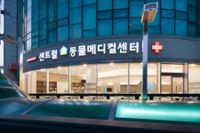 대전24시센트럴동물병원