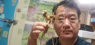 지렁골산양삼농원