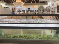 아쿠아이즈 아산점