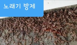 피엠텍중부지사 | 피엠텍 서부지사