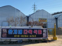 은지네다육
