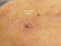 오늘도예쁘다