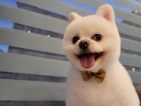 뷰티몽&플레이몽