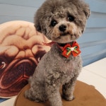 뷰티몽&플레이몽