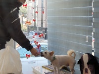 뷰티몽&플레이몽