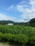 범산목장