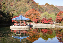 해오름황토펜션형민박