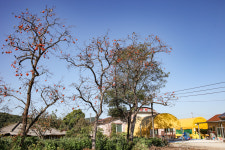 해오름황토펜션형민박