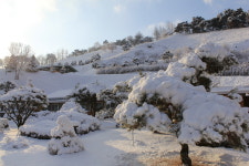 범산목장
