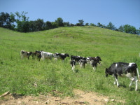 범산목장