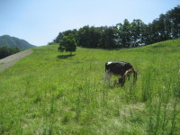범산목장