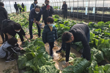 양평외갓집체험마을