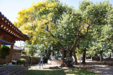 해오름황토펜션형민박