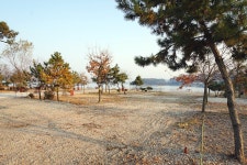 선재오토캠핑장