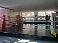 더헐크복싱클럽 두정본관