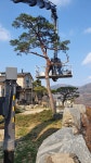스카이크레인