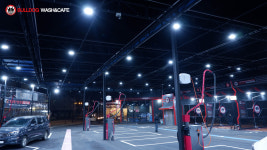 불독워시앤카페