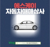 에스케이모터스