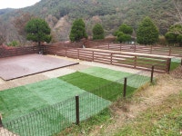 트리독스애견전용캠핑장