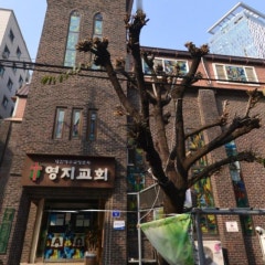 영지교회