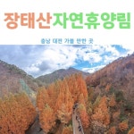 장태산 휴펜션