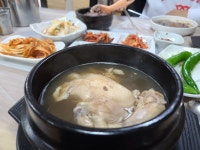 억수삼계탕