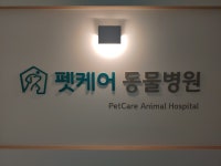 펫케어 동물병원