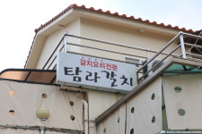 탐라갈치