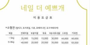 네일 더 예쁘개