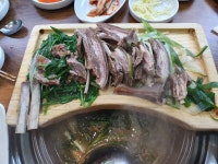 마작골