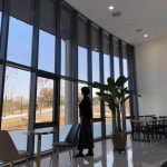 삼십육점오