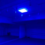 유니크 스튜디오