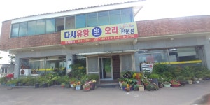 다사유황생오리
