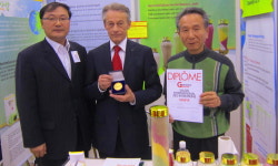 다사랑함초코리아