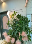 포레스타 음악학원