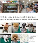 내사랑똥강아지