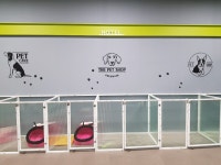 몽스파 인천청라점