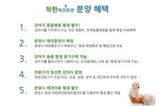 착한애견분양강아지 수원광교본점