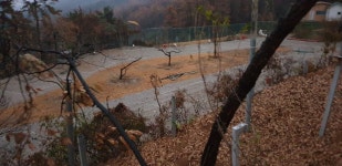 참살이 오토가족캠핑장