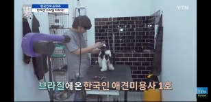 김펫살롱