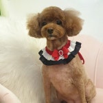 예뻐지개
