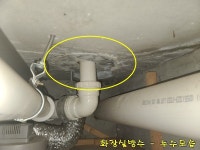 후기