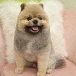예뻐지개