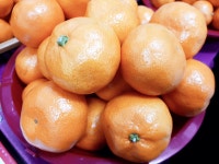 새코미랑달코미