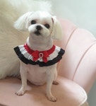 예뻐지개