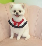 예뻐지개