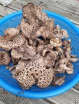 두메산골식당