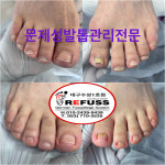 레푸스 수성점